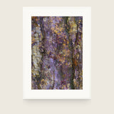 Patina V — Fissure. Ridged surface in violet and yellow with a pale cream column at the left. Shown framed. Frames and mounts are not included.