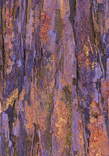 Patina III — Ridge. Vertical ridged columns in violet, orange and gold, running the full height. The unframed sheet.