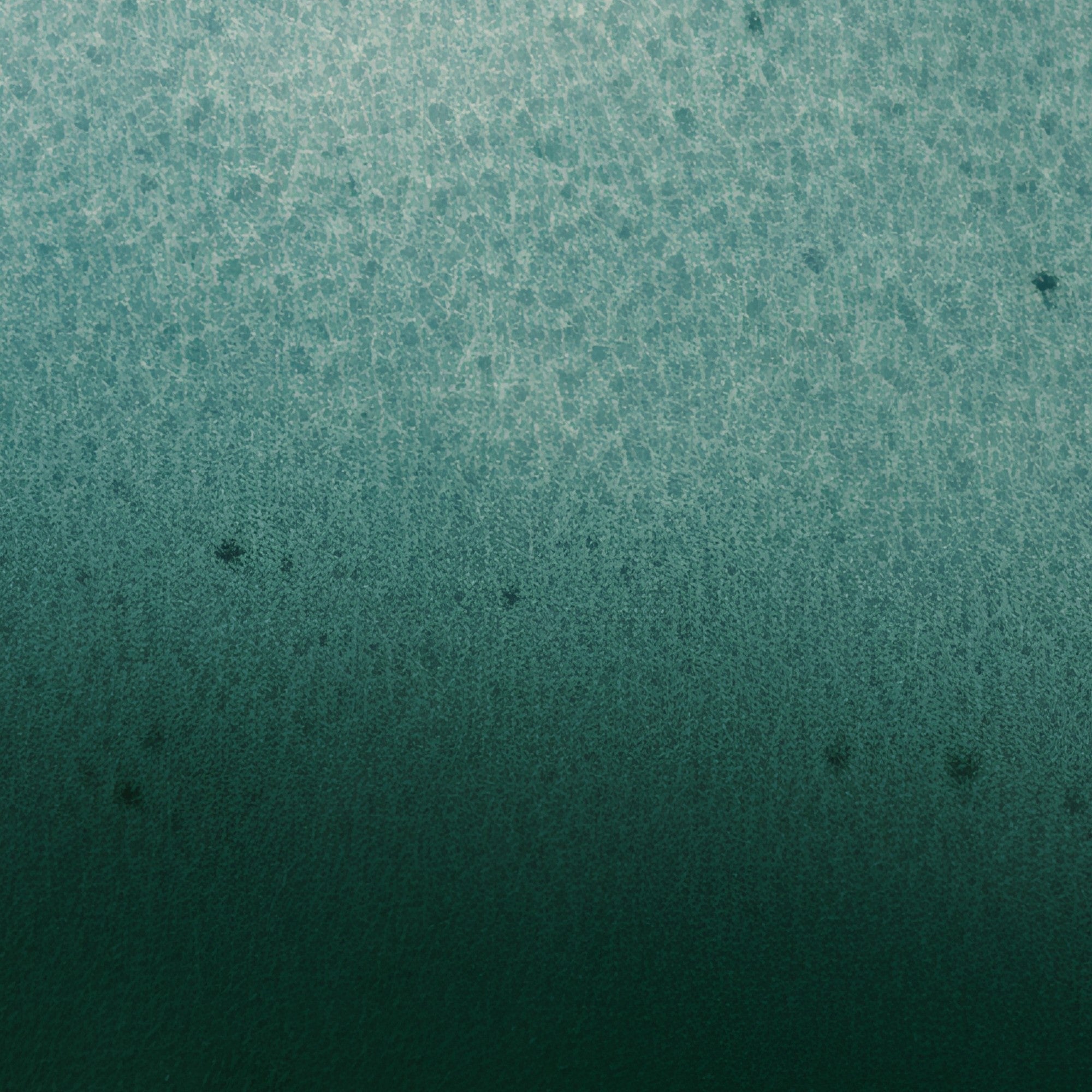 Dark green-black field with a pale band across the upper third and fine grit gathering just above the bottom edge. Shown framed. Frames and mounts are not included.
