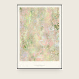 Botanics I — Blossom. Pale abstract in pink and peach with small green marks throughout and a soft swirl at the centre. The annotated sheet, which carries the piece's name and the words about it printed along the foot. Shown framed. Frames and mounts are not included.