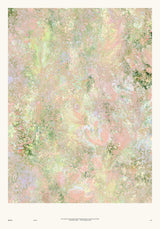 Botanics I — Blossom. Pale abstract in pink and peach with small green marks throughout and a soft swirl at the centre. The unframed annotated sheet, with the printed footer along the bottom edge.